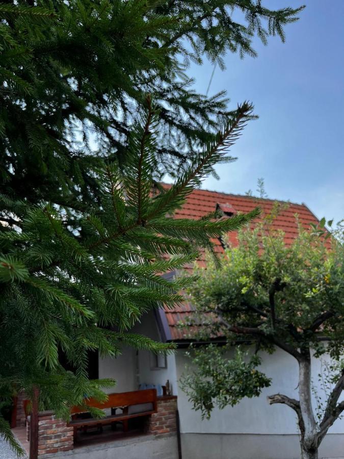 Holiday Home Amila Visoko Exterior foto